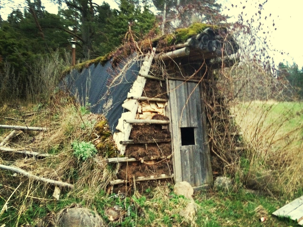 abandoned, obsolete, damaged, run-down, deterioration, old, built structure, architecture, bad condition, grass, house, field, destruction, broken, plant, building exterior, wood - material, weathered, ruined, tree