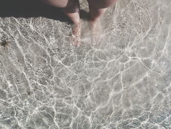 Low section view of person swimming in sea