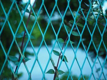 Full frame shot of chainlink fence