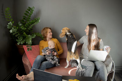 Happy family - grandmother, daughter, newborn baby boy and dog rest in the living room on the couch