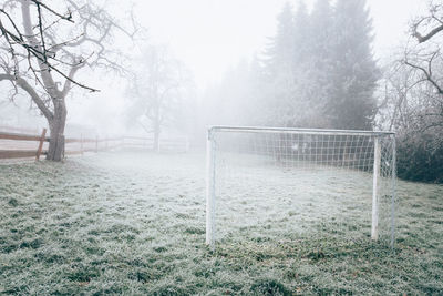 Trees on field during winter