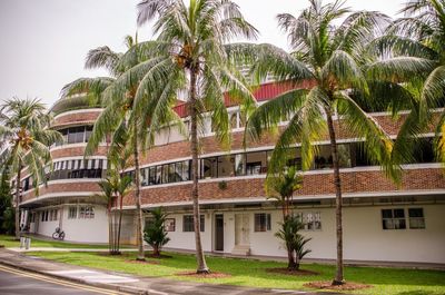 Palm trees and house against sky