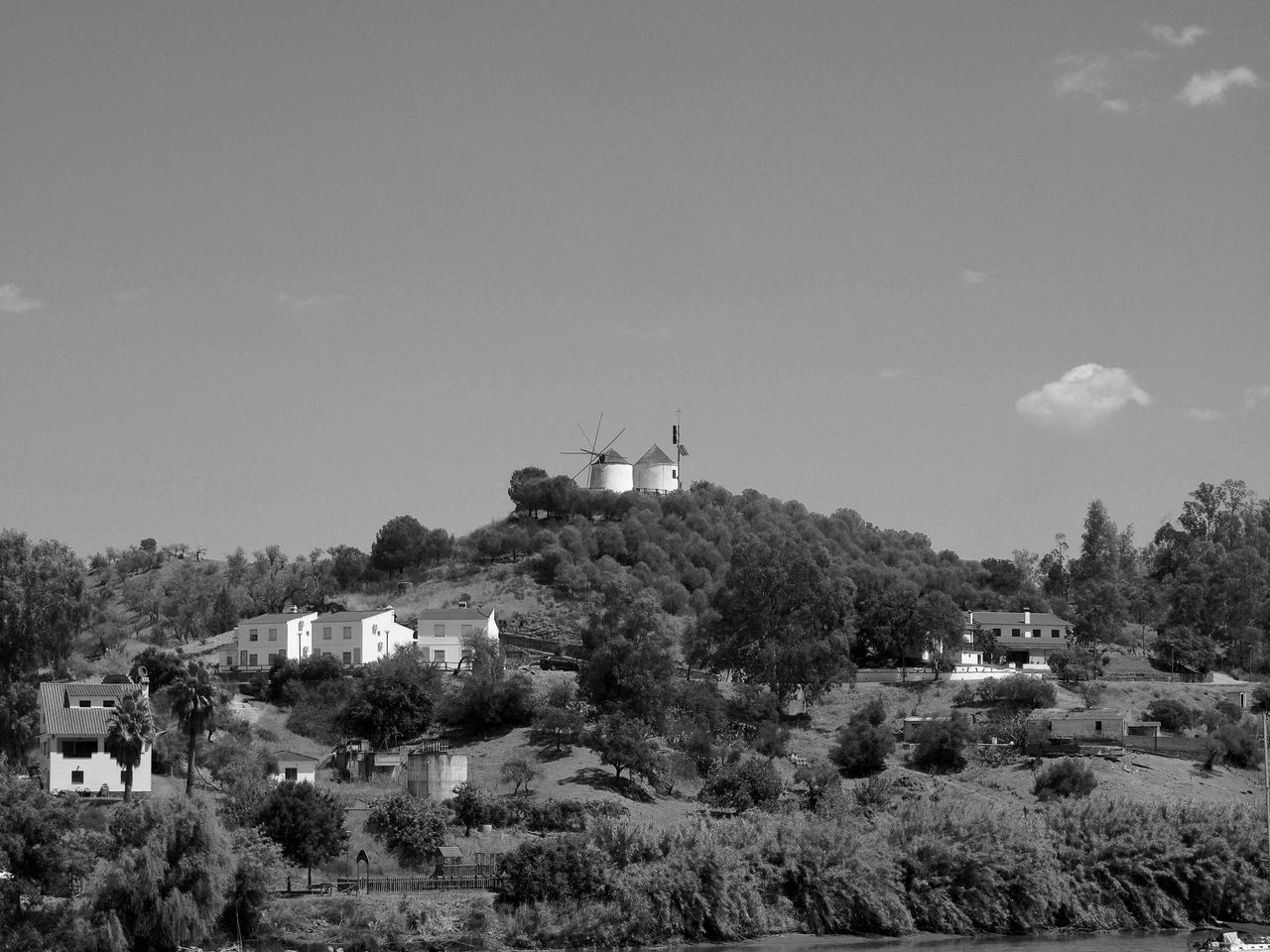 HOUSES BY TREE IN TOWN