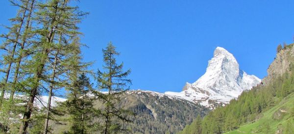 Low angle view of snowcapped mountains against clear blue sky