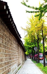 Road along buildings