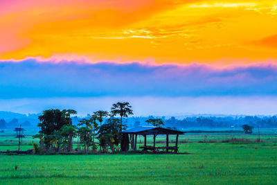 Scenic view of field against sky at sunset