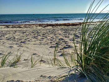 Scenic view of beach against clear sky