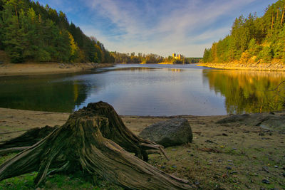 Scenic view of lake in forest against sky