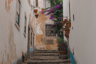 Narrow alley amidst buildings in city