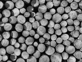 Full frame shot of logs