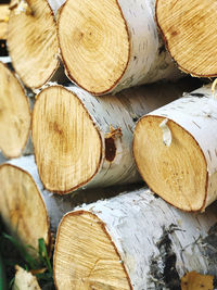 Full frame shot of wooden logs in forest