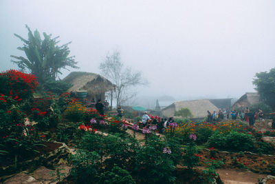 Flowering plants and trees by building against clear sky