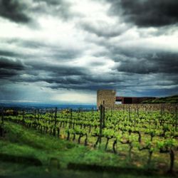 Scenic view of field against cloudy sky