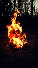 Close-up of bonfire at night