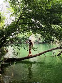 Full length of woman on lake against trees