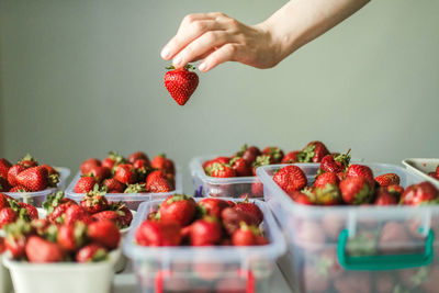 Close-up of strawberries