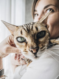 Close-up of woman carrying cat