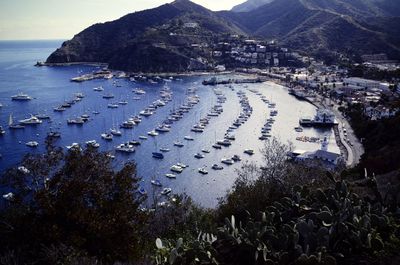 High angle view of sea and buildings