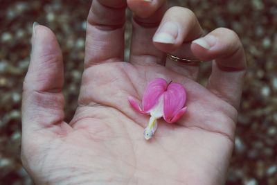 Cropped image of woman with bleeding heart flower