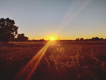 Scenic view of field against sky during sunset