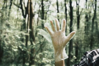 Cropped hand wearing plastic glove in forest