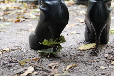 Low section of woman wearing high heels on footpath