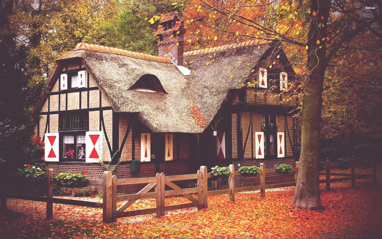 building exterior, architecture, built structure, tree, house, autumn, residential structure, residential building, branch, window, growth, change, season, day, outdoors, plant, nature, no people, tree trunk, front or back yard