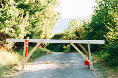 Scenic view of road by trees in forest