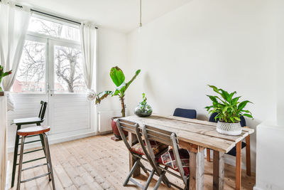 Potted plants on table at home