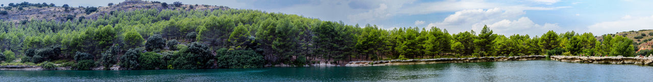 Reflection of trees in lake