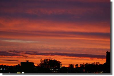 Silhouette of trees at sunset