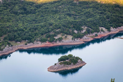 High angle view of river amidst trees