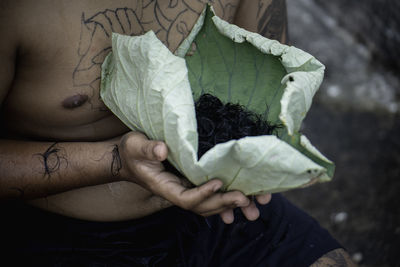 Cropped hand holding leaf