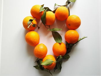 Close-up of oranges against white background