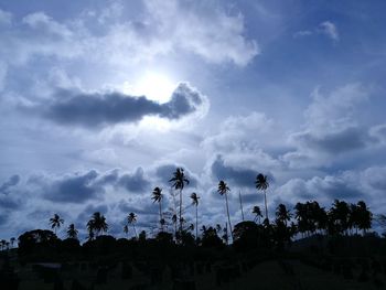 Low angle view of trees against sky