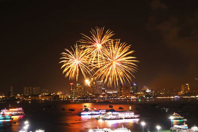 Firework display in city against sky at night