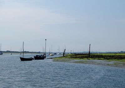 Sailboats in sea against sky