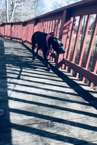 Man with dog sitting on floor