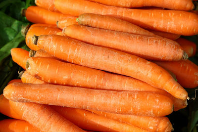 Close-up of carrots