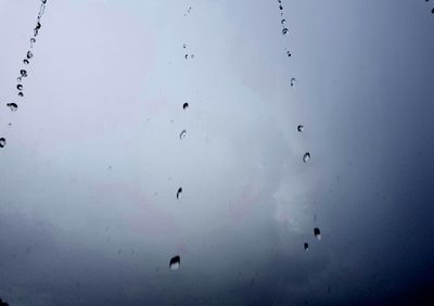 Low angle view of sky seen through wet glass