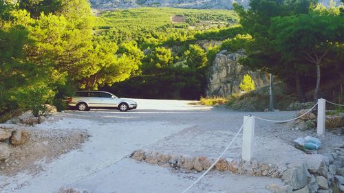 Car on road against trees