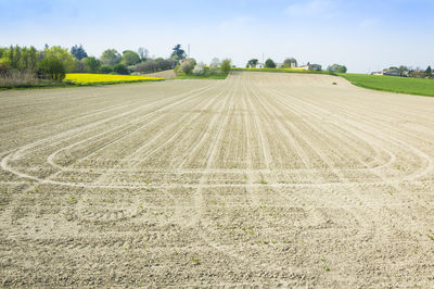 Scenic view of agricultural field against sky