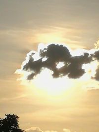 Low angle view of silhouette trees against sky during sunset