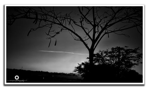 Silhouette bare tree against sky