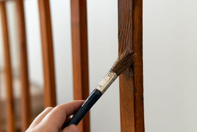 Close-up of hand holding bird against wooden wall