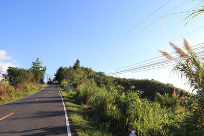 Road amidst plants against sky