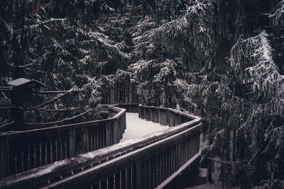 Panoramic shot of footbridge over river in forest