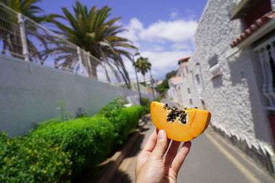 Cropped image of hand holding fruit against plants