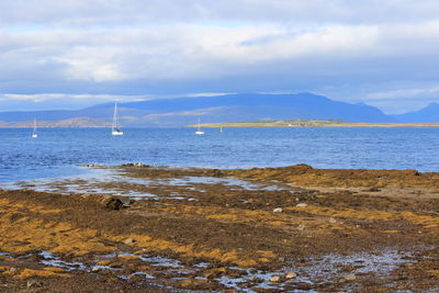 Scenic view of sea against sky