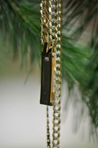 Close-up of chain hanging against plant